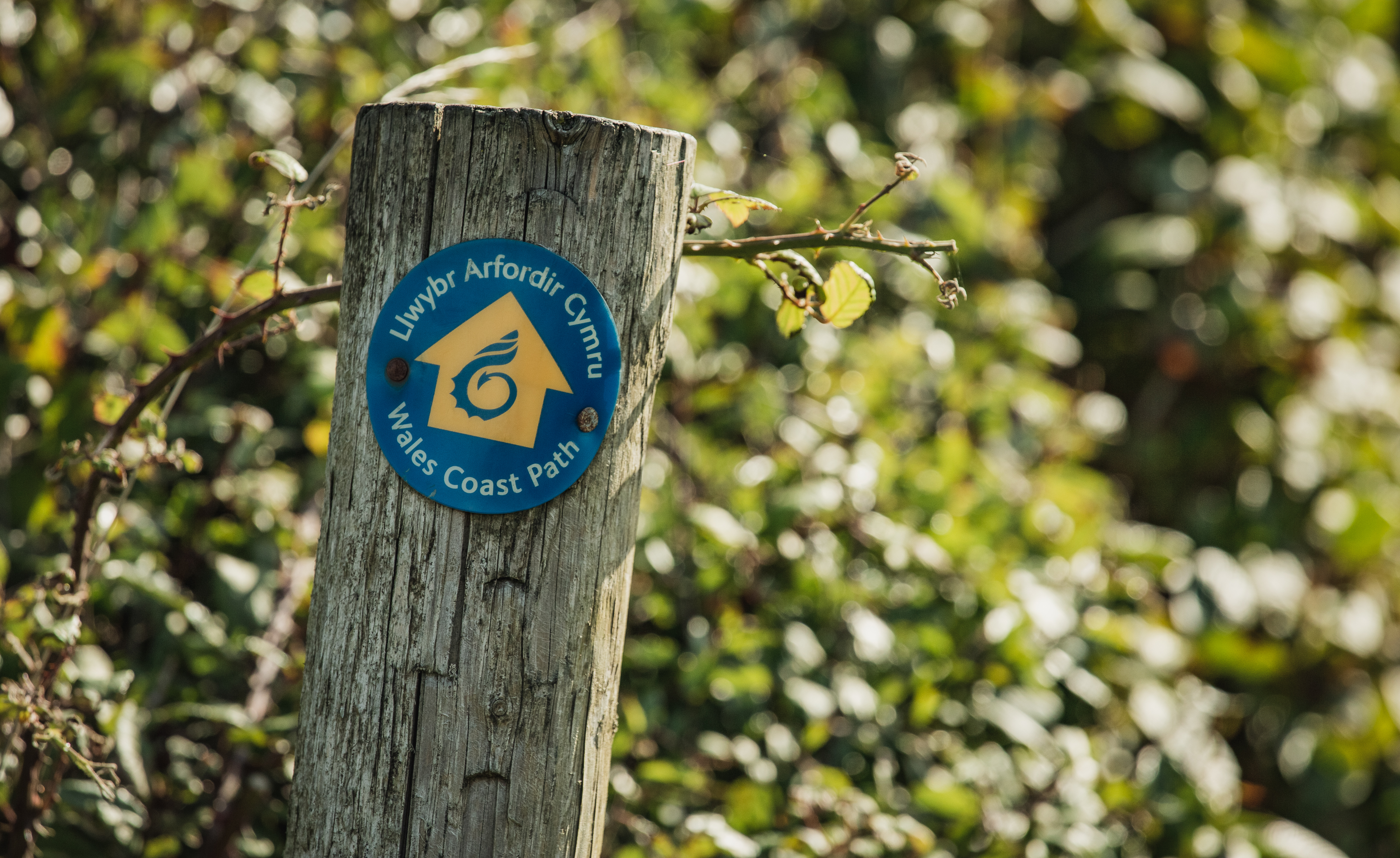 Coastal path sign