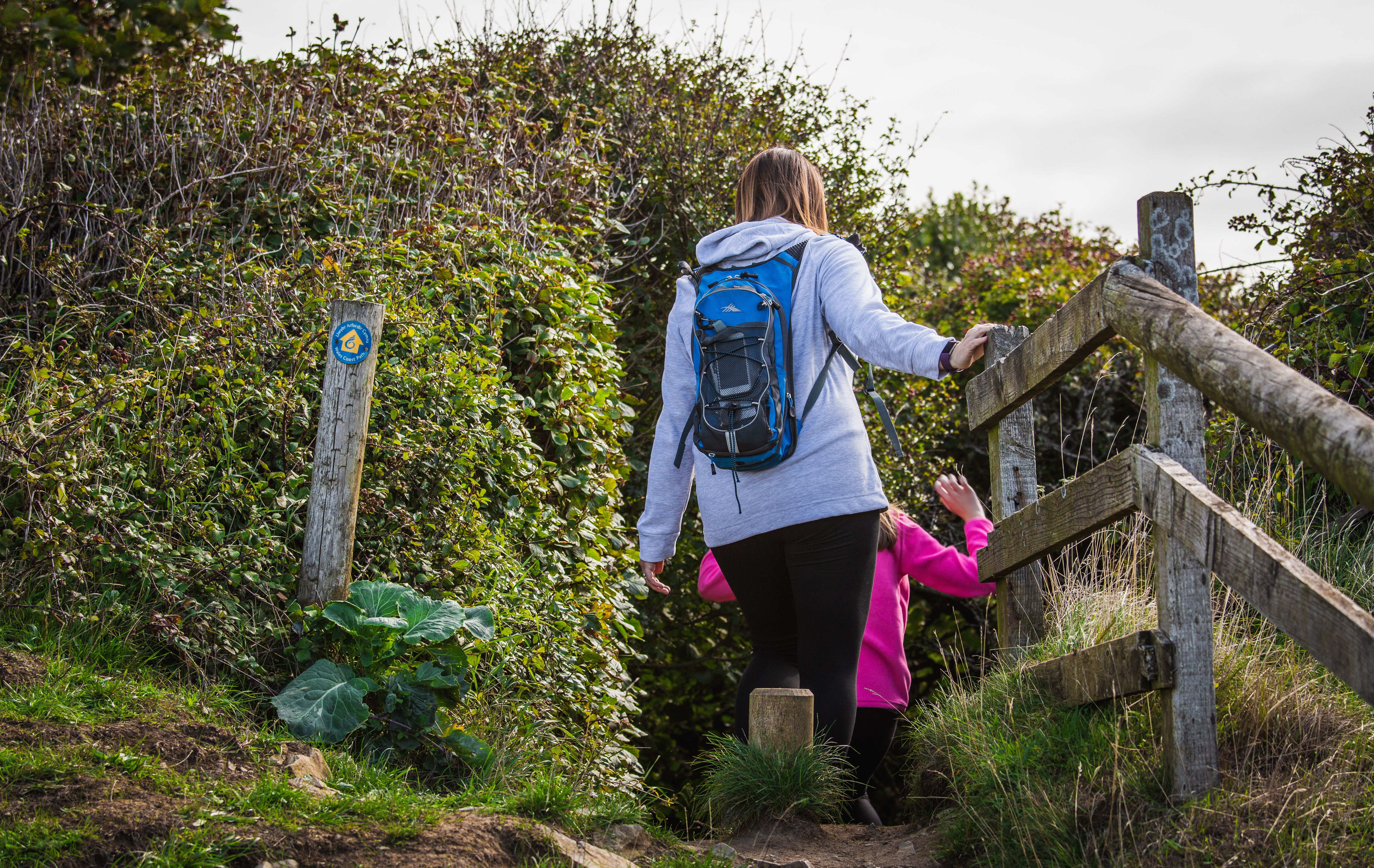 Wales Coastal Path sign